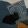 Missing Nightstar