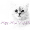 Floppy Floofs Ragdolls Olson