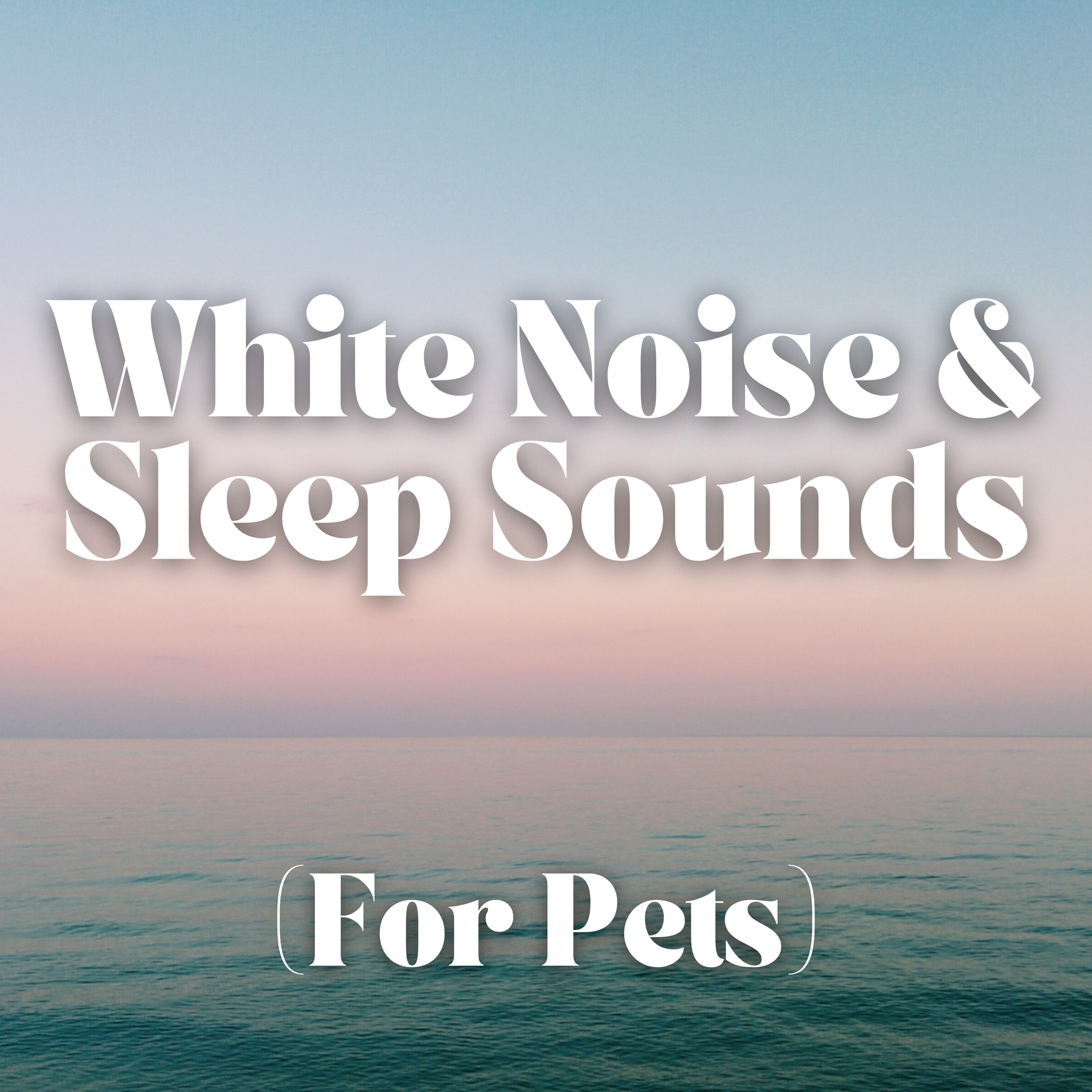 White Noise and Sleep Sounds (For Pets)
