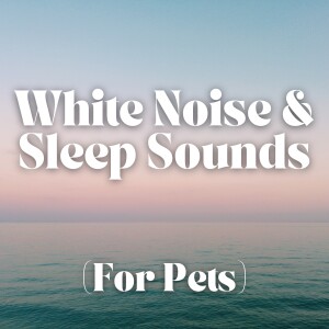 Pink Noise | Sleep Sound For Pets (12 Hours)