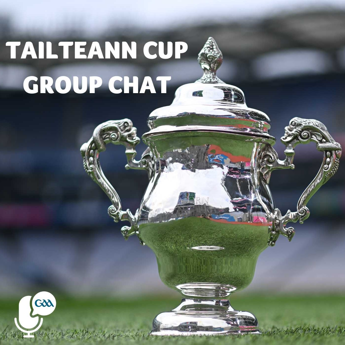 GAA Tailteann Cup Group Chat 2024