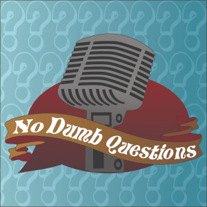 NDQ - Episode 130 - No Commercials Ever Again!