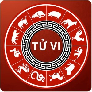 Giới thiệu Website Yeutuvi.com