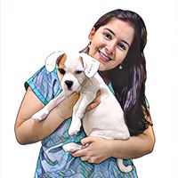 jenassif