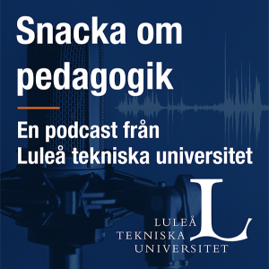 Snacka om pedagogik