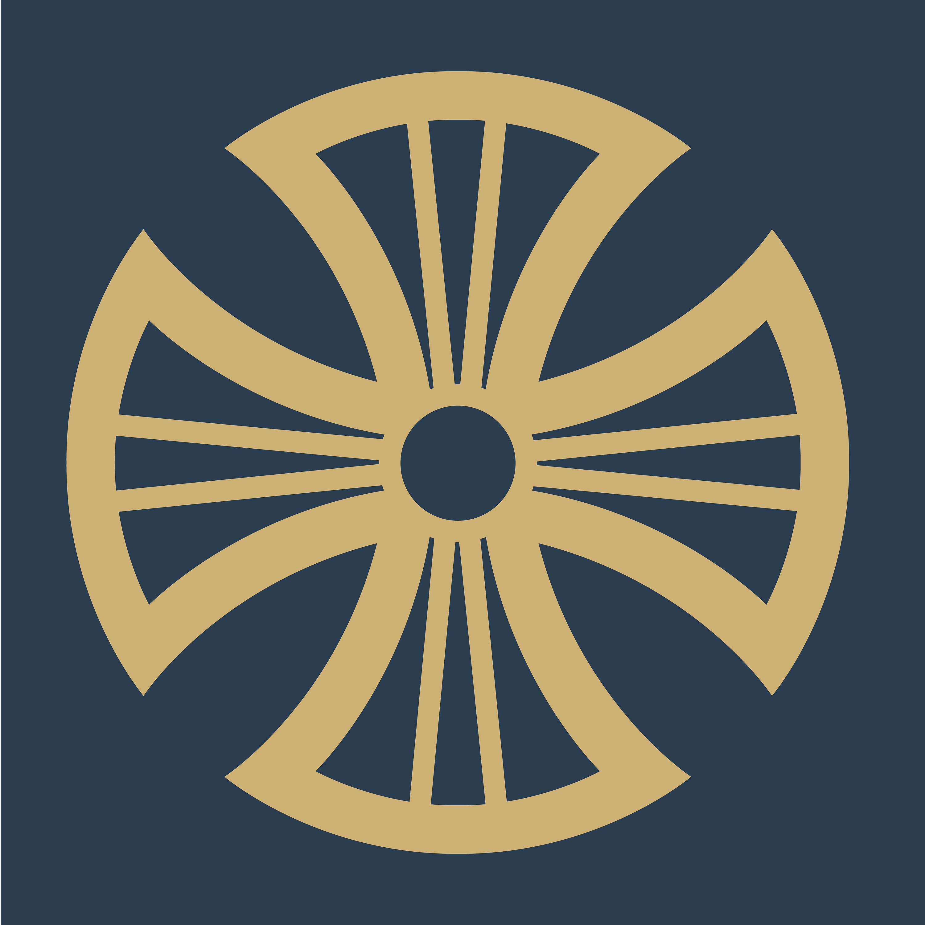 DSM Anglican