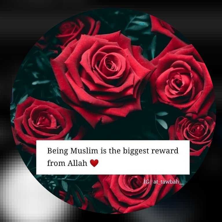 Umm Abdullah