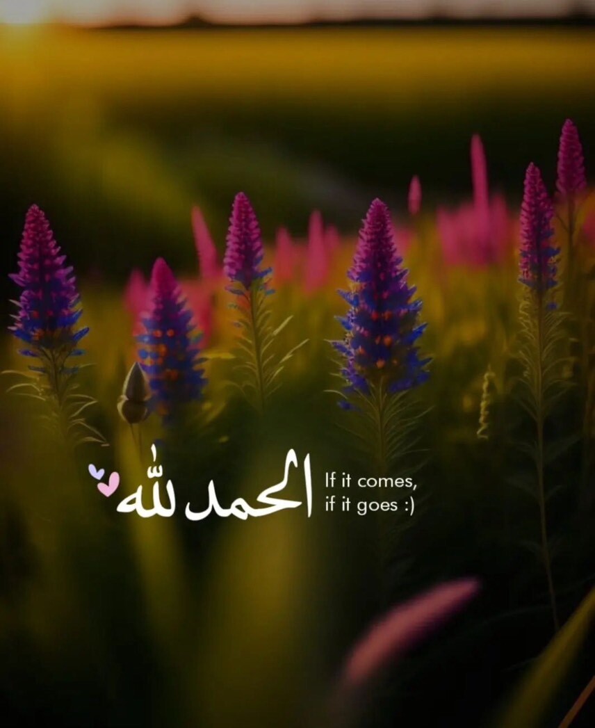 امّ احمد