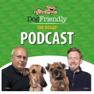 User Podcast Logo