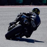 Fishettinispa Persico