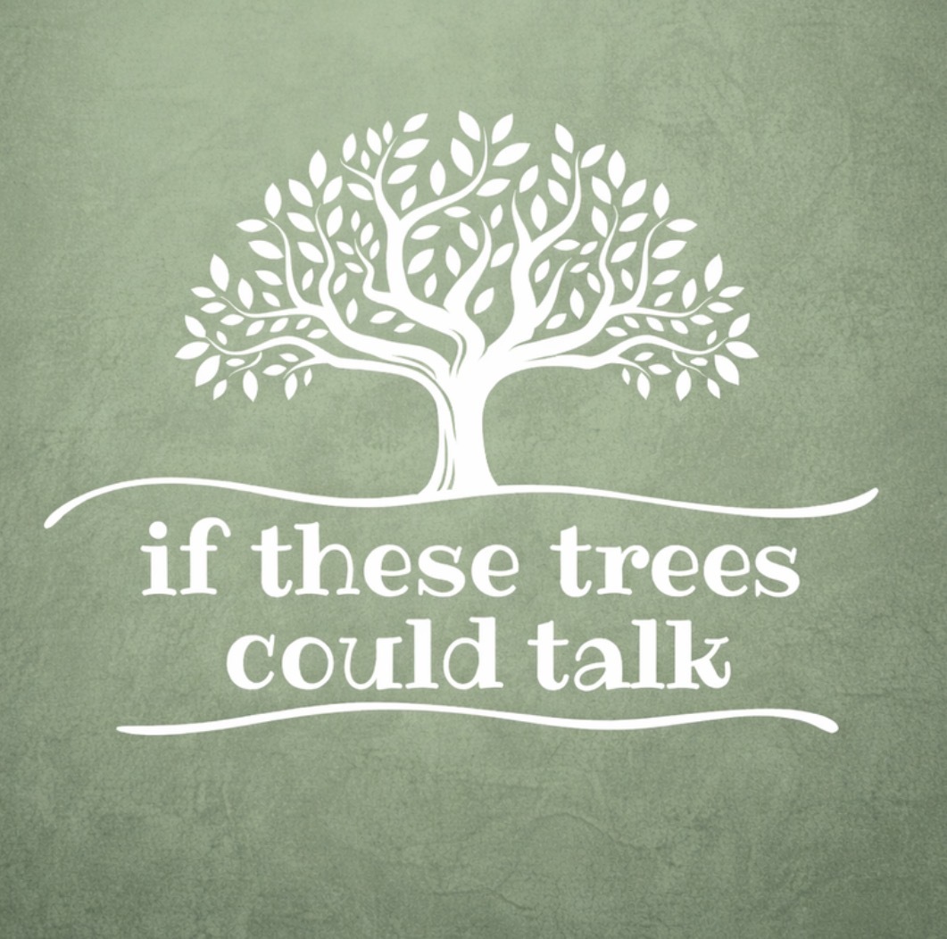 If These Trees Could Talk