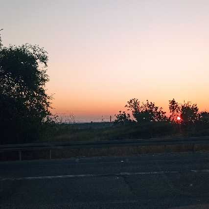bilbisli