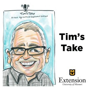 Tim’s Take