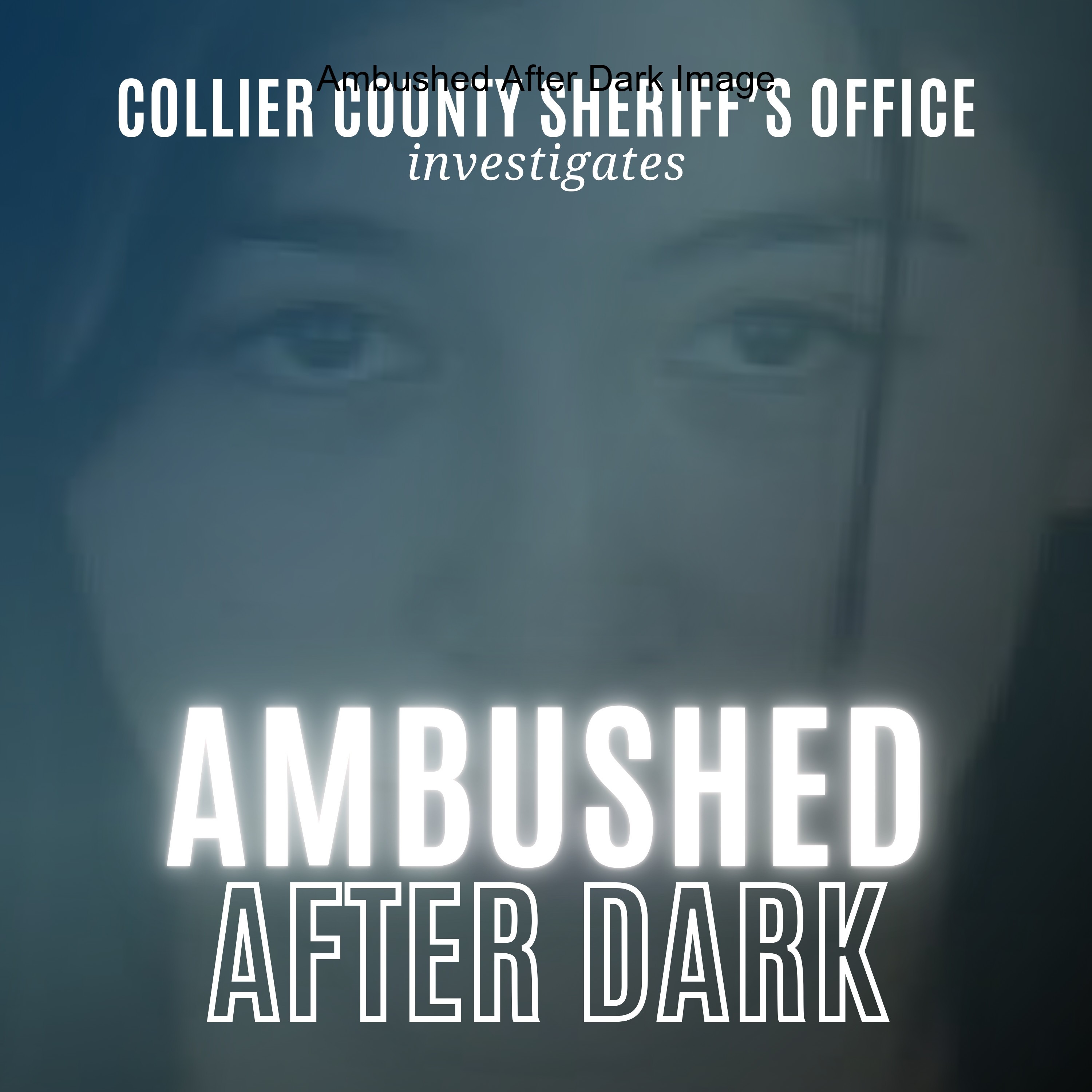 Ambushed After Dark