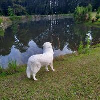 Elaine McMullen Hall