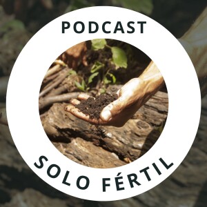 #07 - 5 etapas de elaboração de um PROJETO AGRÍCOLA