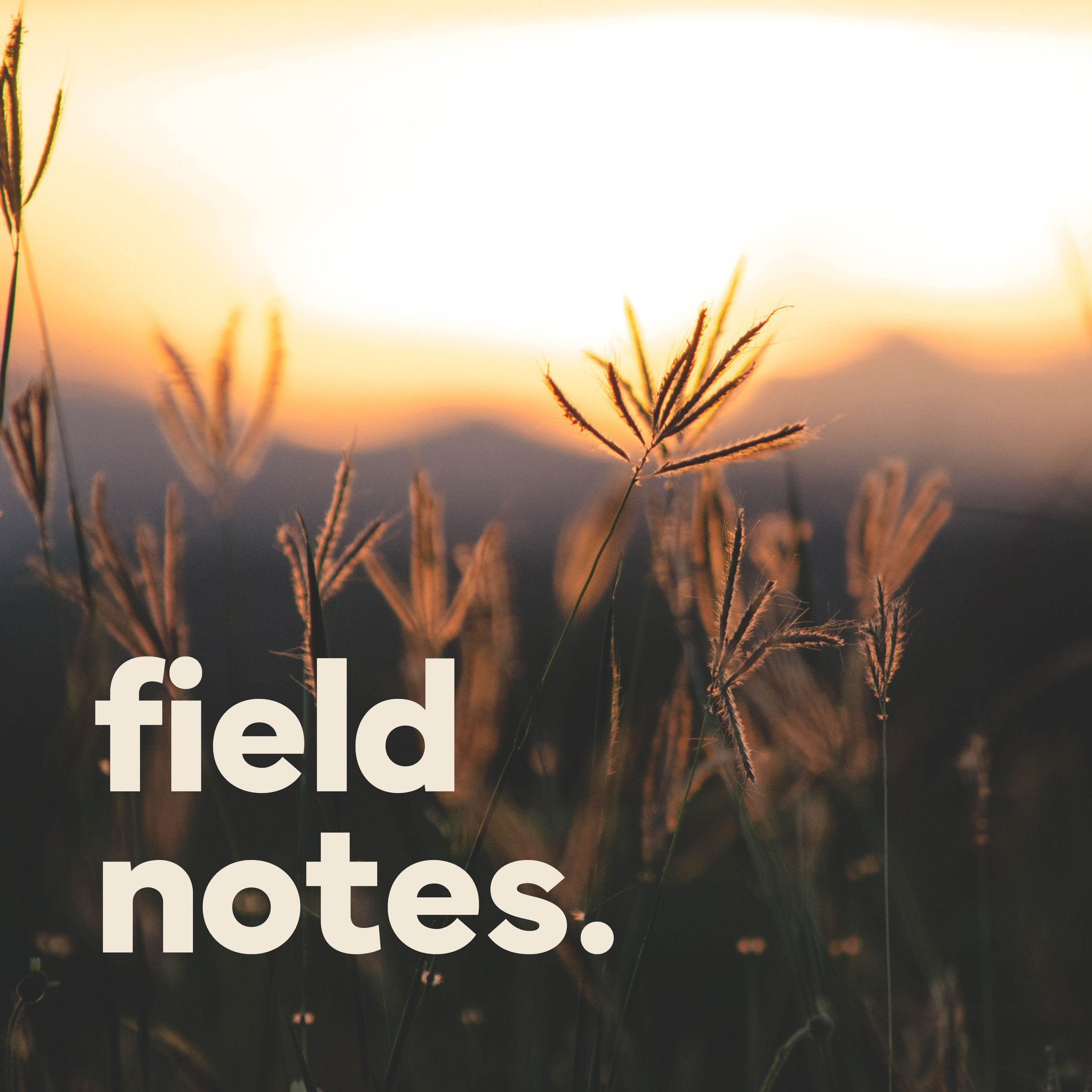 field notes.