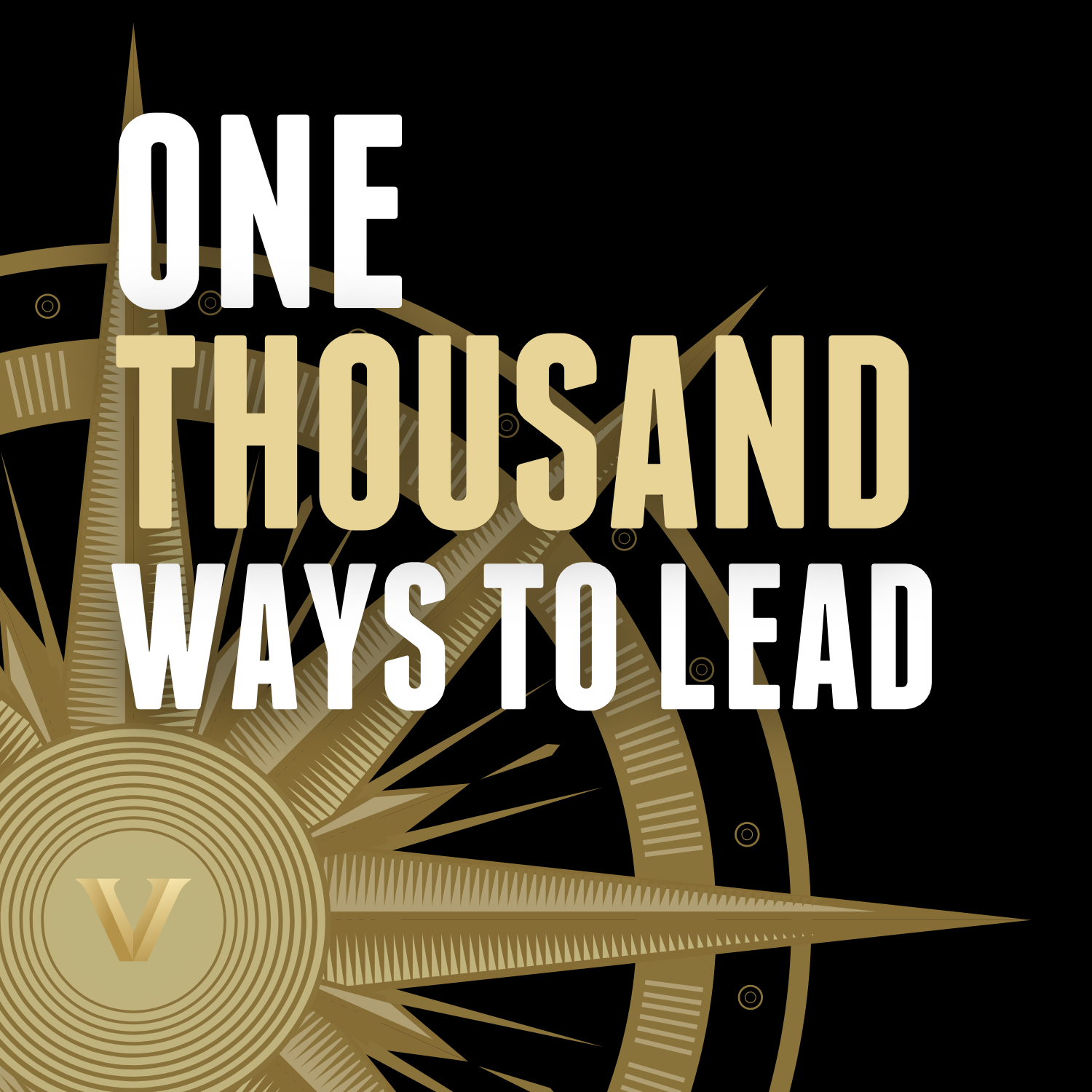 One Thousand Ways To Lead