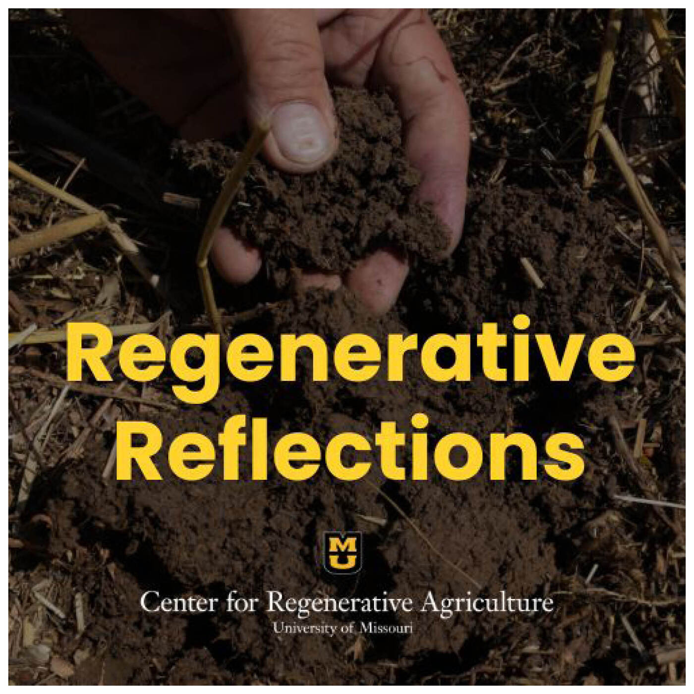 Regenerative Reflections