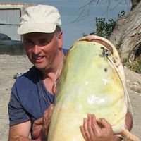 Kevin Lennox
