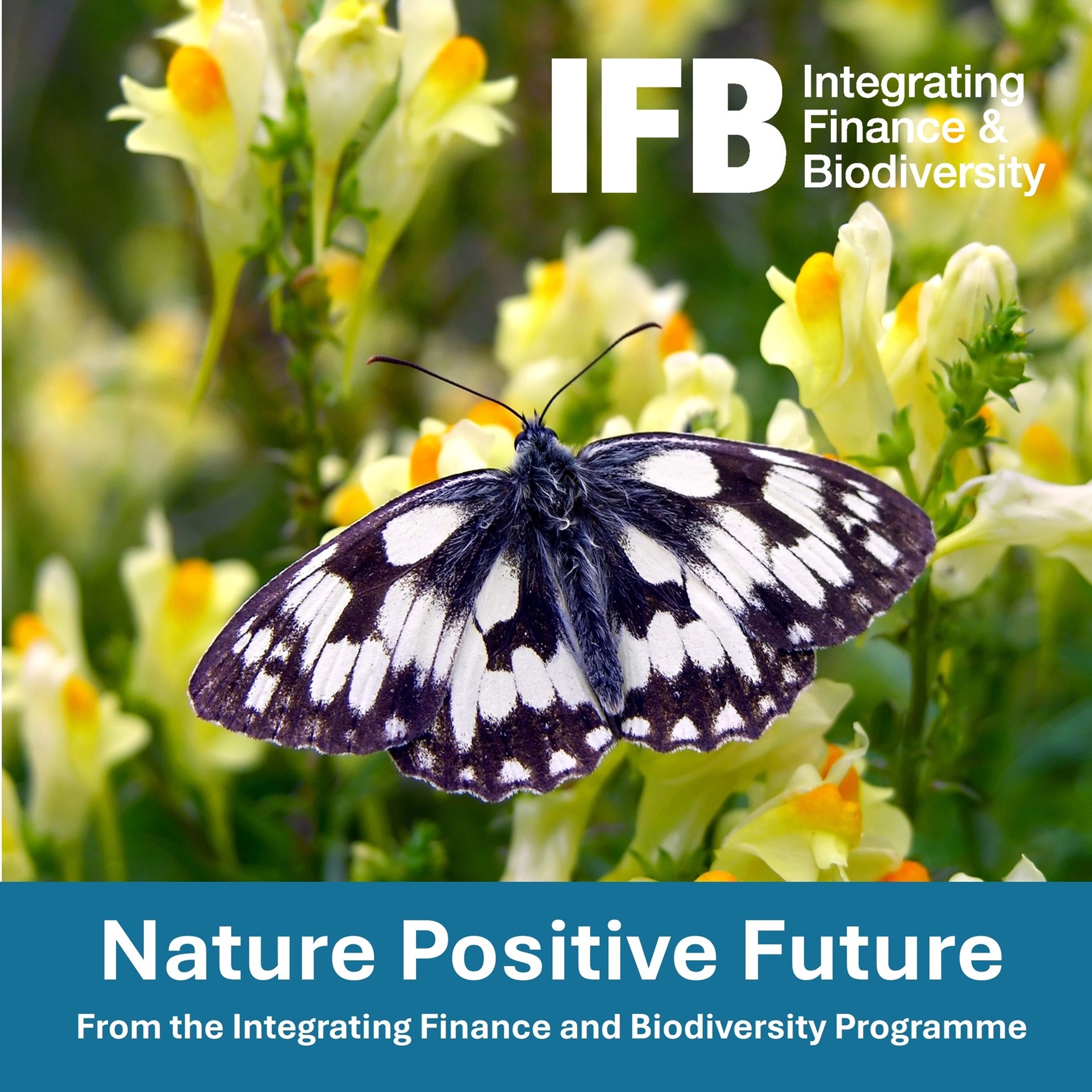 Nature Positive Future