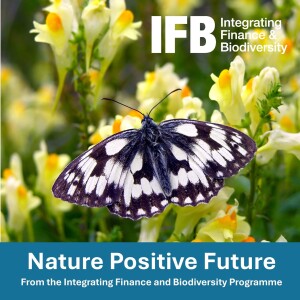 E1: Greening Finance for Nature