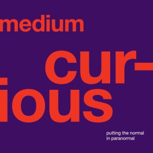 MEDIUM When - ”Let’s talk about the elephant in the room.”