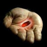 Miguel “Red Pill Junkie” Romero