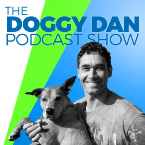 Show 84: How To Train Your Dog To Be Calm - The Easy Way