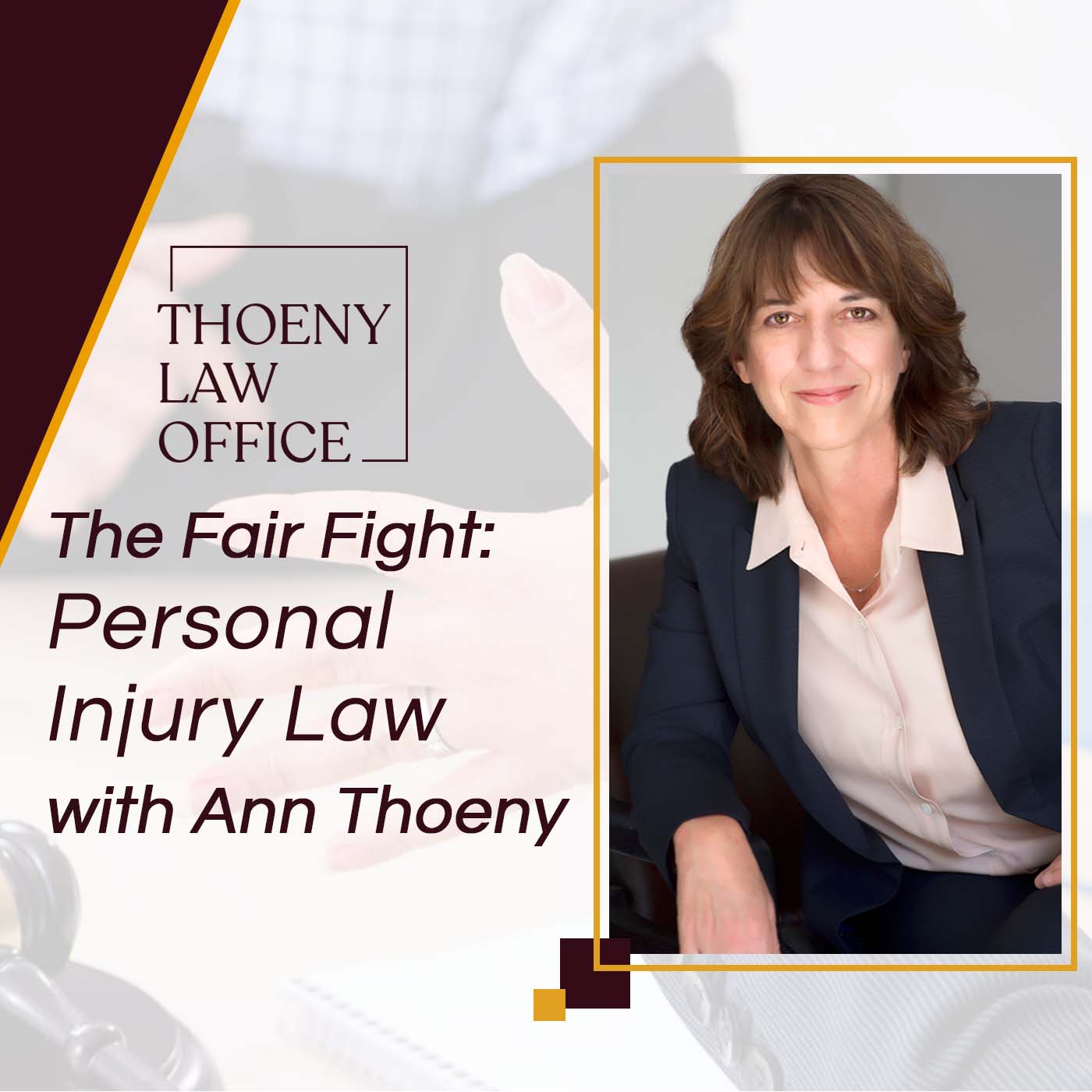 The Fair Fight with Ann Thoeny