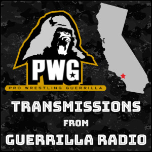 Transmissions From Guerrilla Radio