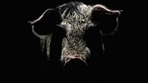 FearTheSwine