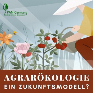 4. Agrarökologie für mehr Solidarität im Ernährungssystem