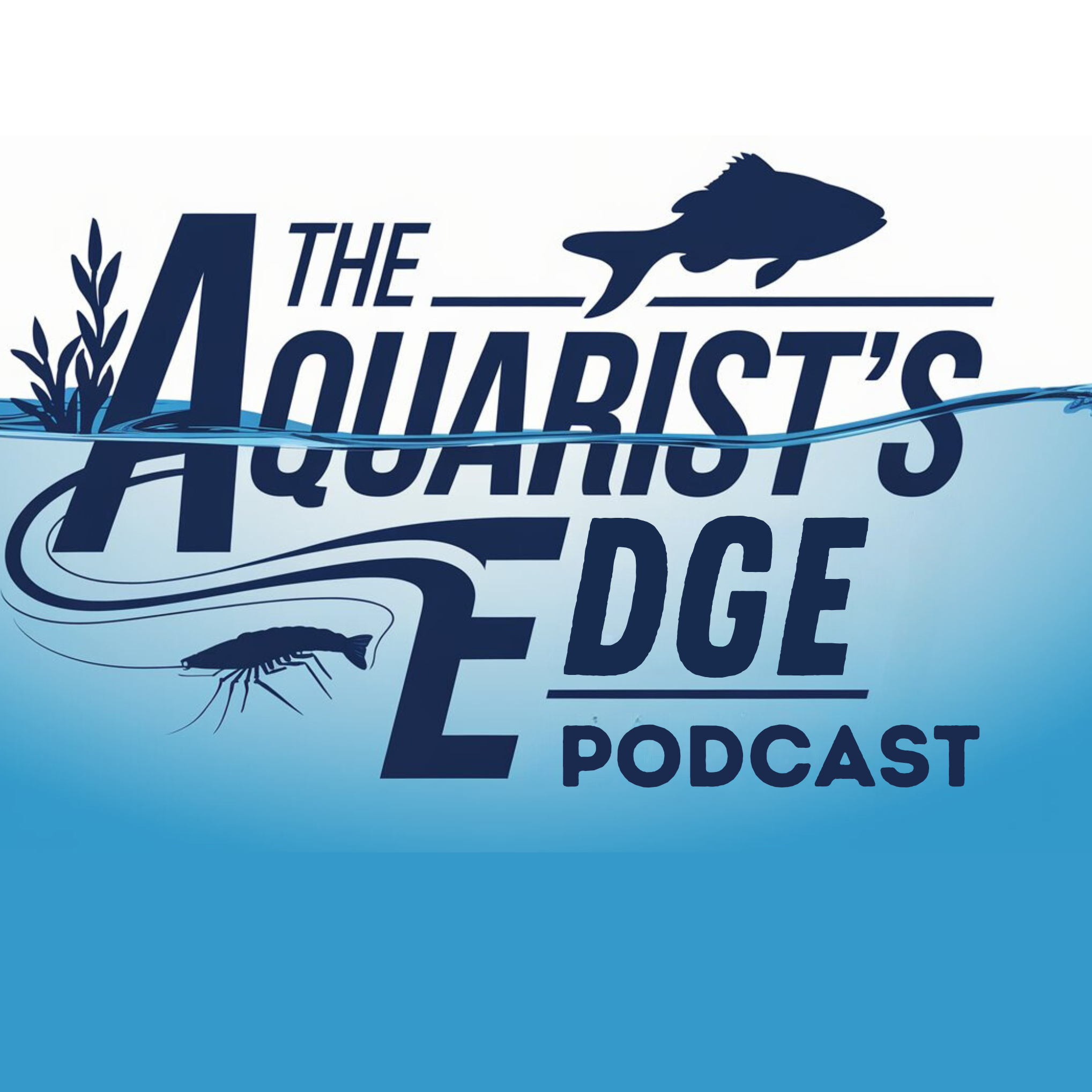 The Aquarist’s Edge