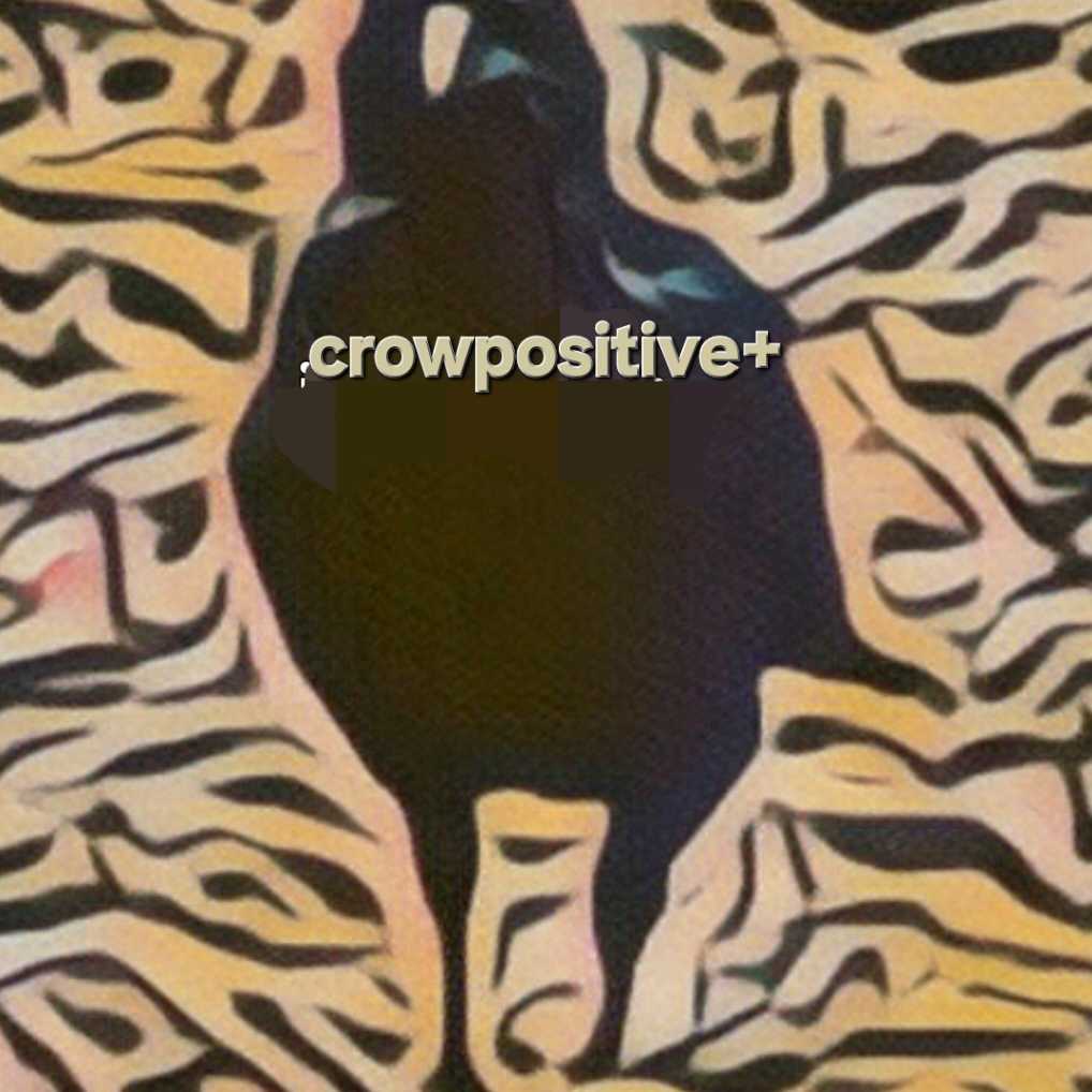 crowpositive+