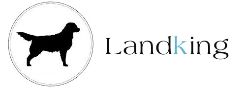 OhmyLandKing
