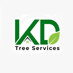 Affordable and Reliable Tree Service in Syracuse, NY