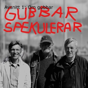 Gubbar Spekulerar - 1. Om gubbar