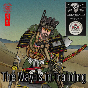 The Way is in Training Podcast