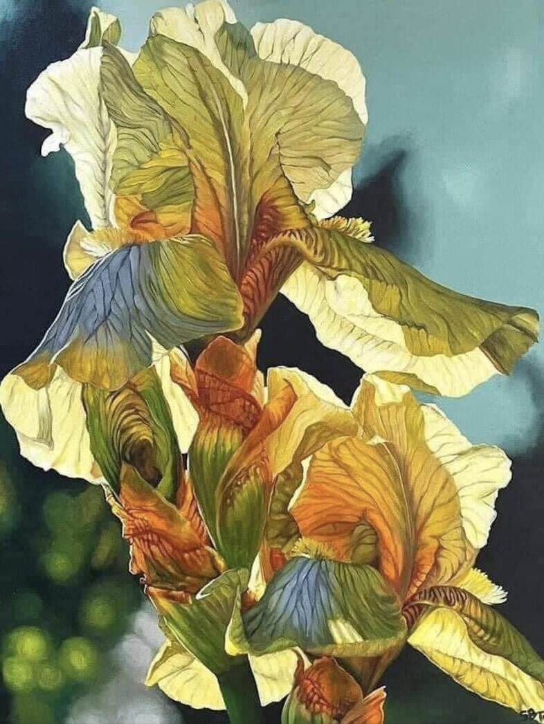 rosebud