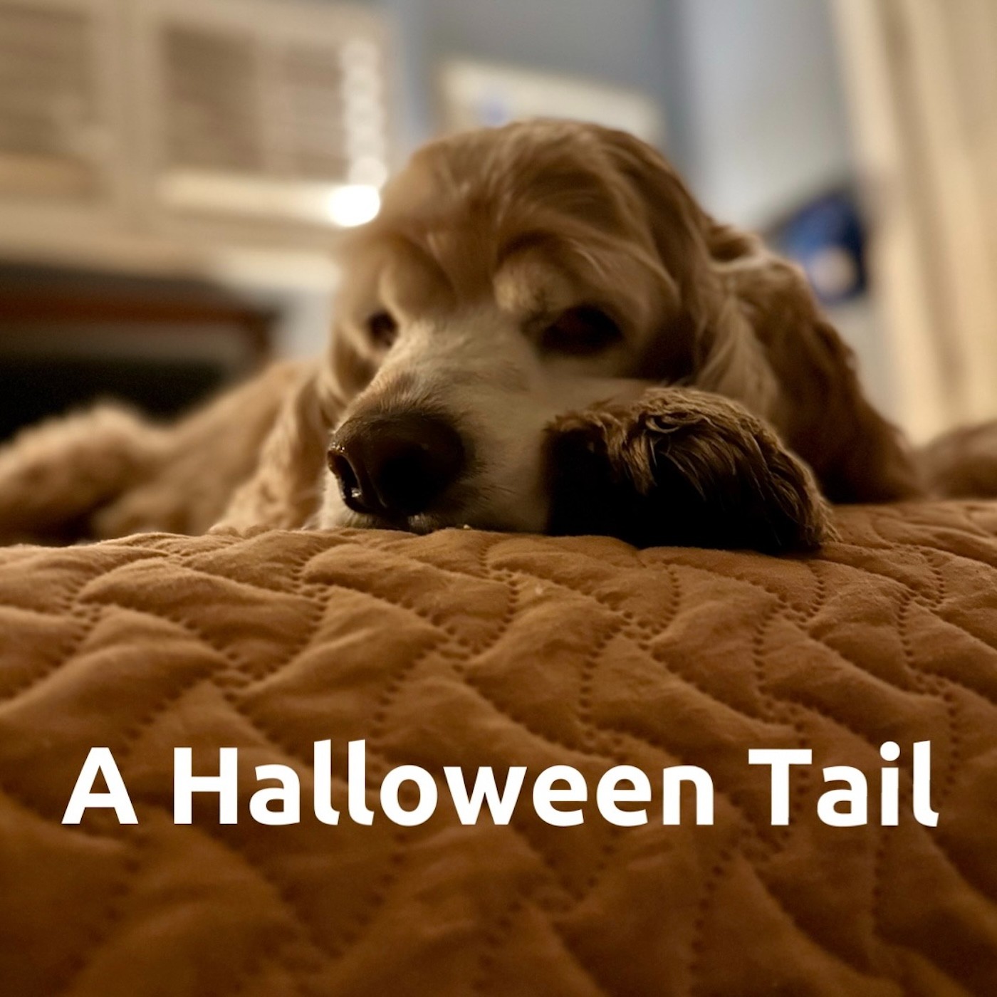 A Halloween Tail