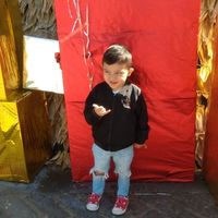 Arce Camarera