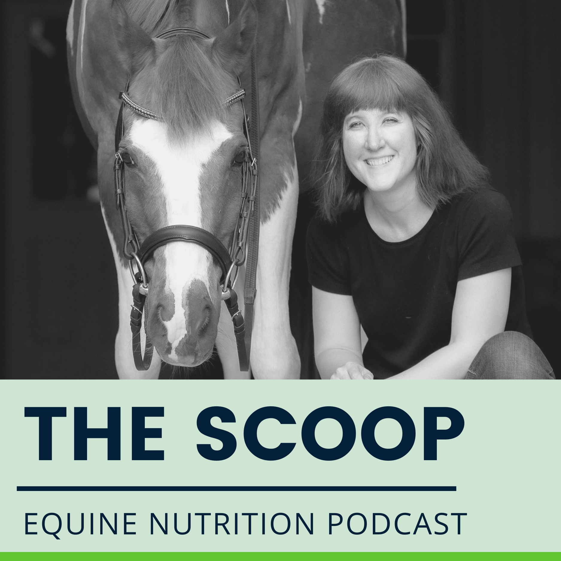 Revolution Equine Nutrition