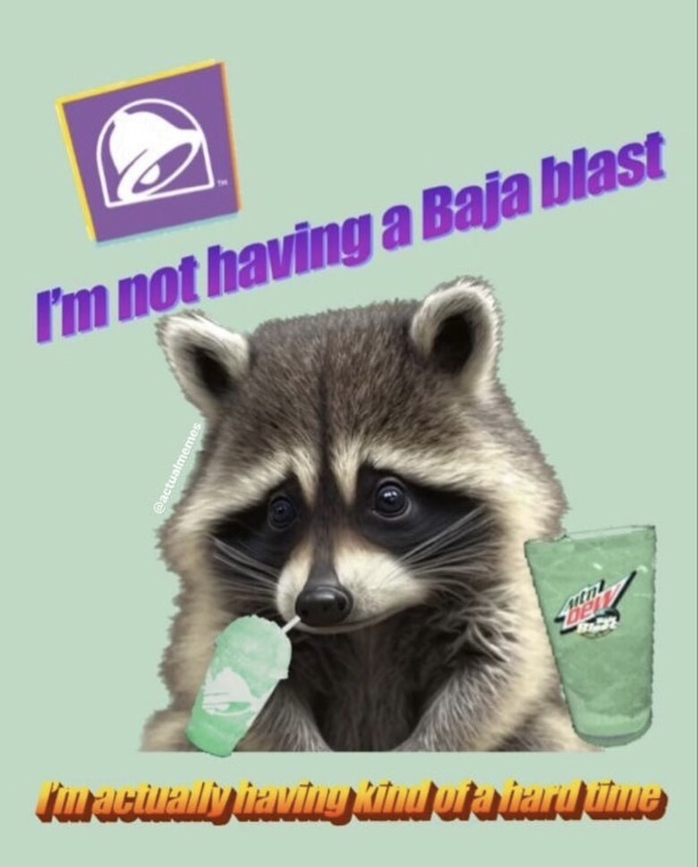 Cassela