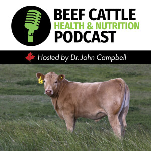 Subfertility in Bulls with Dr. Colin Palmer - Part 2