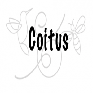 LetsTalkCoitus