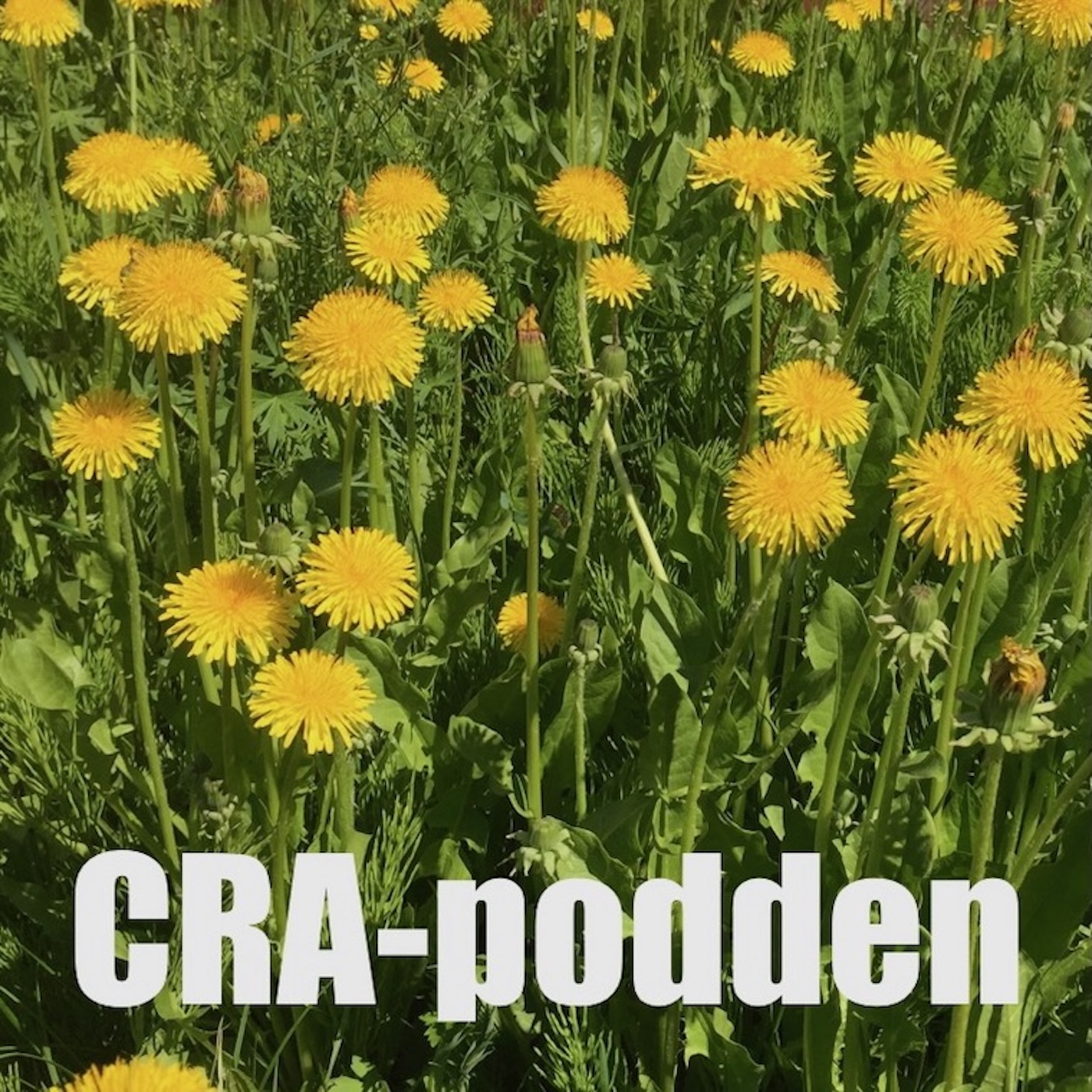 CRA-podden