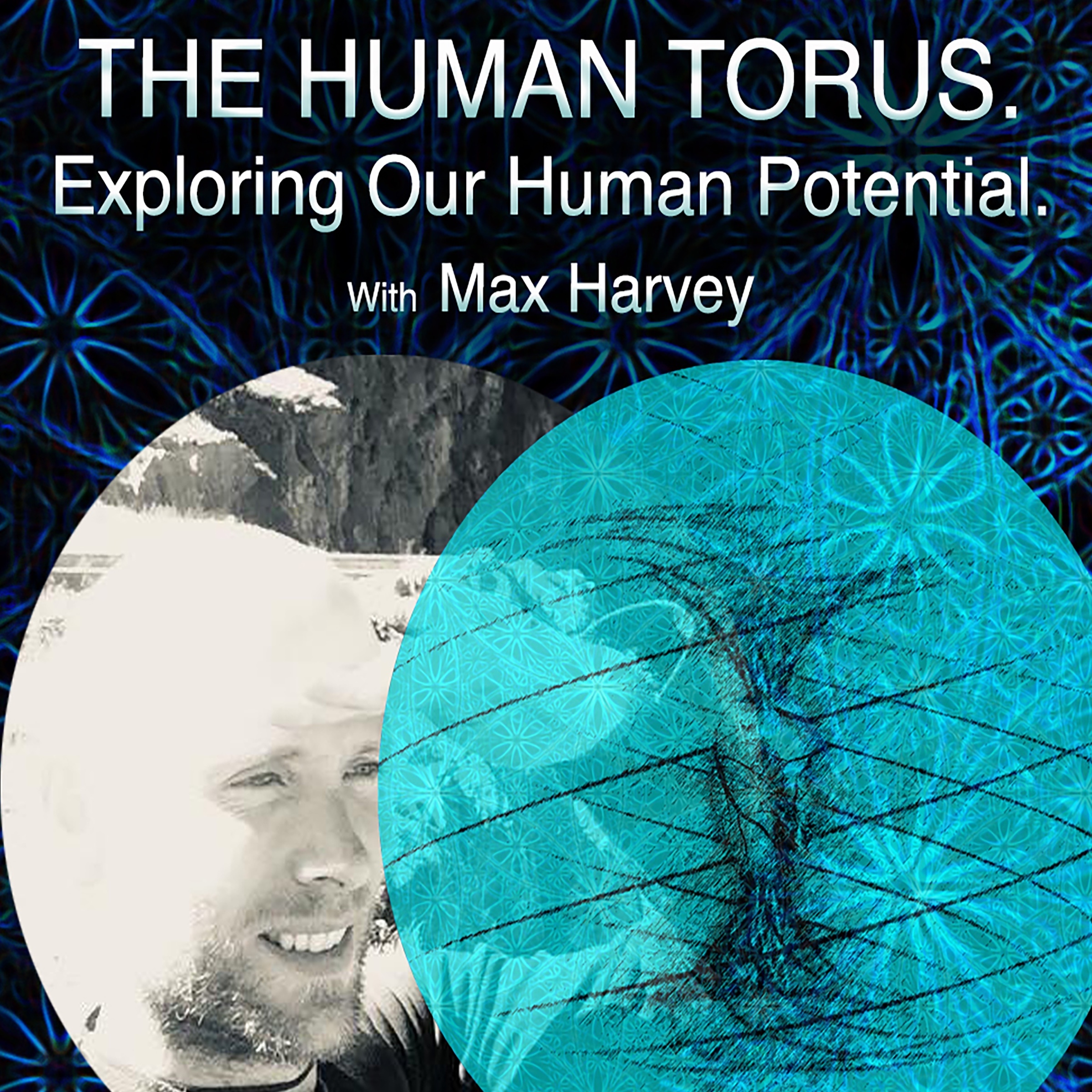 The Human Torus Podcast