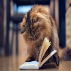 Secret of the Stacks