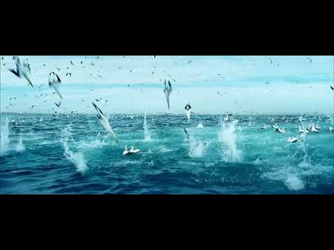 podcast set to explicit